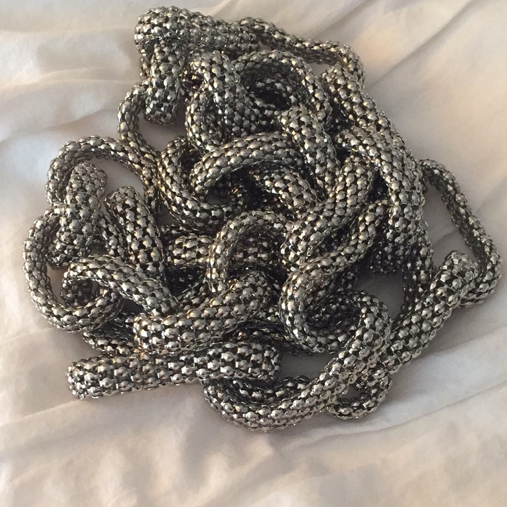 Silver link necklace, bought at Nordstrom’s!